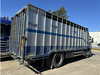 Camião transporte de gado Scania P310 4x2 ANIMAL TRANSPORT - ALU BOX 7m - MANUAL - AIR SUSPENSION - A/C - BELGIAN TRUCK: foto 4