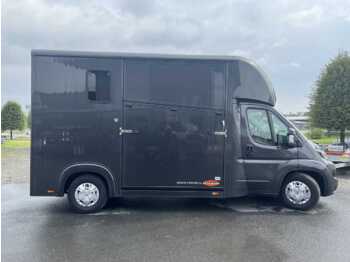 Camião de transporte de cavalos FIAT