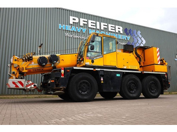 Grua todo o terreno DEMAG