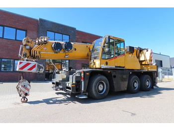 Grua todo o terreno DEMAG