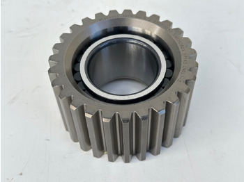 : foto do cabeçalho