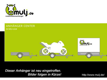 Leasing de  Brian James Cargo Connect Universalanhänger 476-5522-35-3-10, 5500 x 2290 mm, 3,5 to., 10 Zoll Brian James Cargo Connect Universalanhänger 476-5522-35-3-10, 5500 x 2290 mm, 3,5 to., 10 Zoll: foto 1