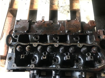 Cabeça do motor PERKINS