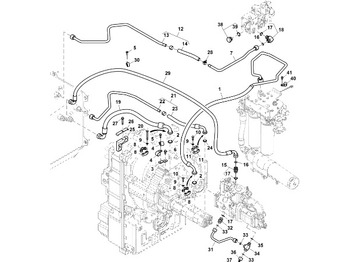 : foto do cabeçalho