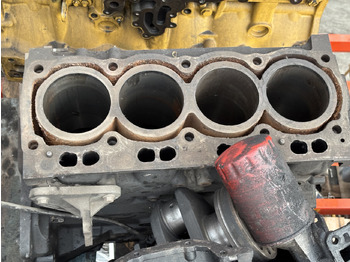 : foto do cabeçalho