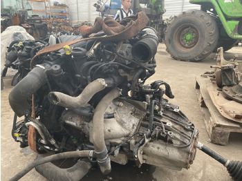 : foto do cabeçalho