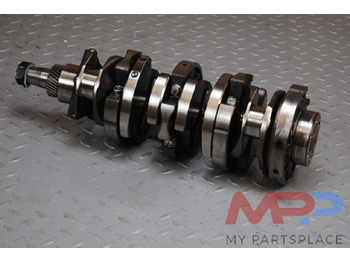 : foto do cabeçalho