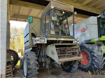 : foto do cabeçalho