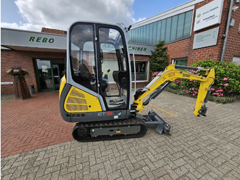 : foto do cabeçalho