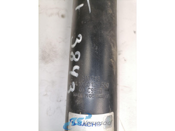 Amortecedor por Camião Scania First axel shock absorber 310783: foto 4 Amortecedor por Camião Scania First axel shock absorber 310783: foto 4