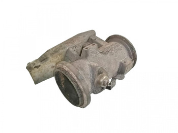 : foto do cabeçalho