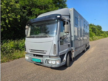 Camião transporte de gado IVECO