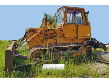 : foto do cabeçalho