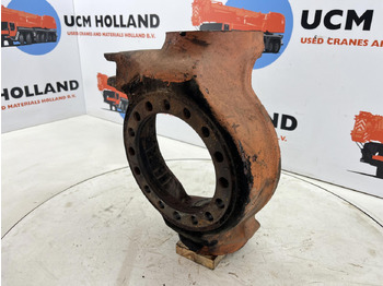 : foto do cabeçalho