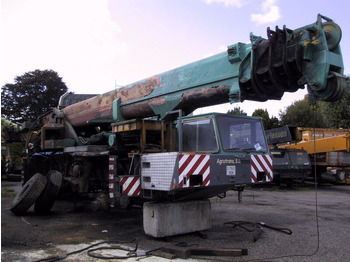 Grua móvel TEREX