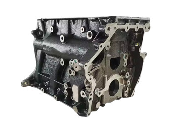 Bloco do motor IVECO Daily