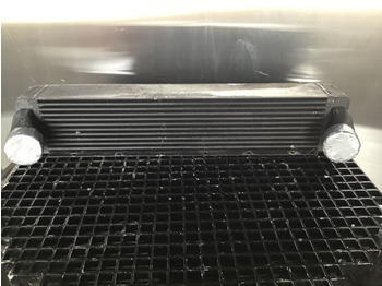 : foto do cabeçalho