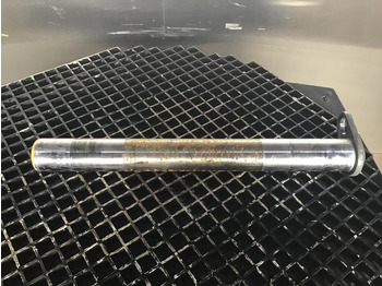 : foto do cabeçalho