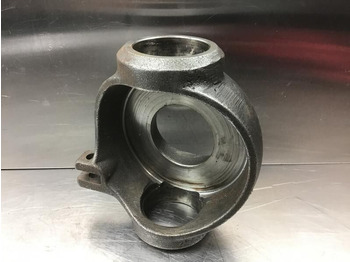 : foto do cabeçalho