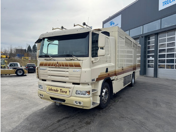Camião transporte de gado DAF CF 410