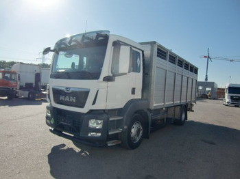 Camião de transporte de cavalos MAN TGS