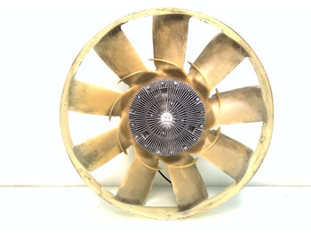 : foto do cabeçalho