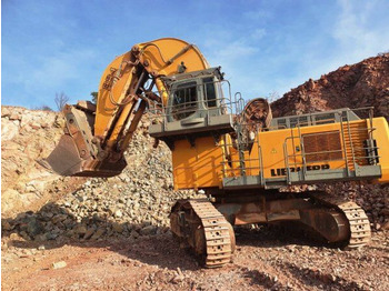 Escavadora de rastos LIEBHERR
