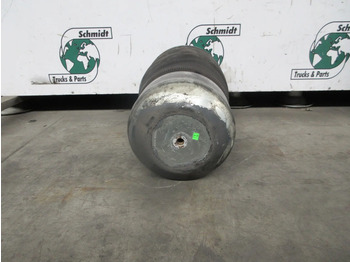 Suspensão a ar por Camião DAF 1904604 LUCHTBALK LAAG UITVOERING DAF XF 480 EURO 6 MODEL 2021: foto 4