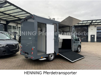 Camião de transporte de cavalos Fiat Ducato *NEUWAGEN* ca.1100 kg Nutzlast: foto 3