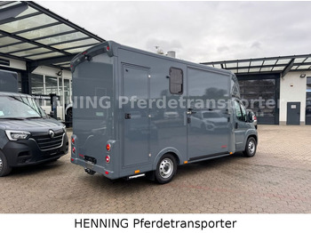 Camião de transporte de cavalos Fiat Ducato *NEUWAGEN* ca.1100 kg Nutzlast: foto 2