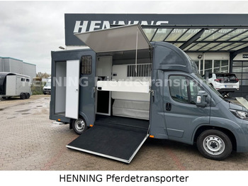 Camião de transporte de cavalos Fiat Ducato *NEUWAGEN* ca.1100 kg Nutzlast: foto 4