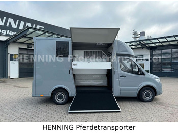Camião de transporte de cavalos novo Mercedes-Benz Sprinter 3 - Sitzer *NEUFAHRZEUG*: foto 5