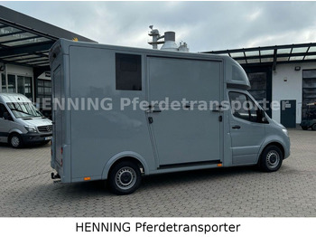 Camião de transporte de cavalos novo Mercedes-Benz Sprinter 3 - Sitzer *NEUFAHRZEUG*: foto 3