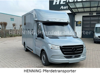 Camião de transporte de cavalos novo Mercedes-Benz Sprinter 3 - Sitzer *NEUFAHRZEUG*: foto 2