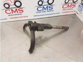 : foto do cabeçalho