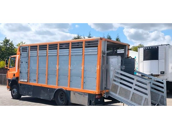 Camião transporte de gado DAF CF 400 Menke Einstock | Transport zwierząt jednopoziomowy | 2 kratownice do bydła| Retarder | Euro 6: foto 4 Camião transporte de gado DAF CF 400 Menke Einstock | Transport zwierząt jednopoziomowy | 2 kratownice do bydła| Retarder | Euro 6: foto 4