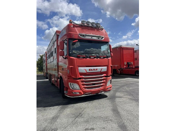 Camião transporte de gado DAF XF 460