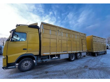 Camião transporte de gado VOLVO FH 420