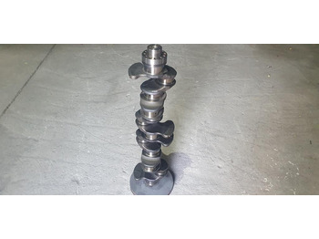 : foto do cabeçalho