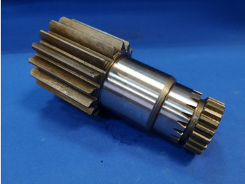 : foto do cabeçalho