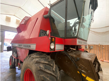 Colhedora de forragem MASSEY FERGUSON 31PX: foto 3