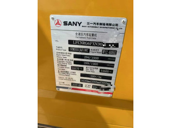 Grua móvel SANY STC100C: foto 4