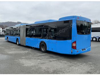 Leasing de Mercedes-Benz Conecto G Mercedes-Benz Conecto G: foto 4