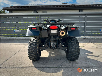 Quadriciclo Suzuki Kingquad 750 AXI*Seilwindel: foto 4