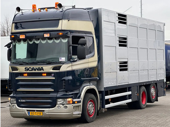 Camião transporte de gado SCANIA R 420