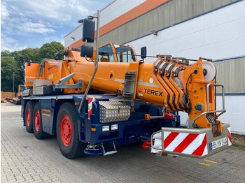 Grua todo o terreno DEMAG