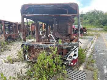 Ônibus urbano IVECO