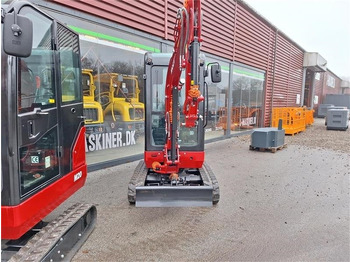 Mini escavadeira Mole M20: foto 3