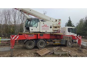 : foto do cabeçalho