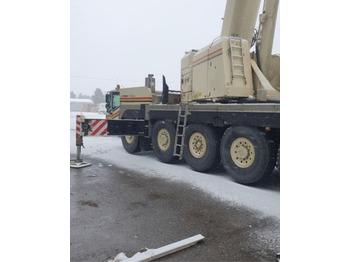 Grua móvel Terex AC 100: foto 2